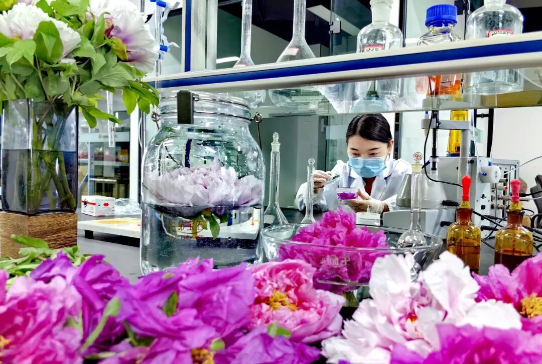 Li Lihua, Chief Scientist at BioGem Lab