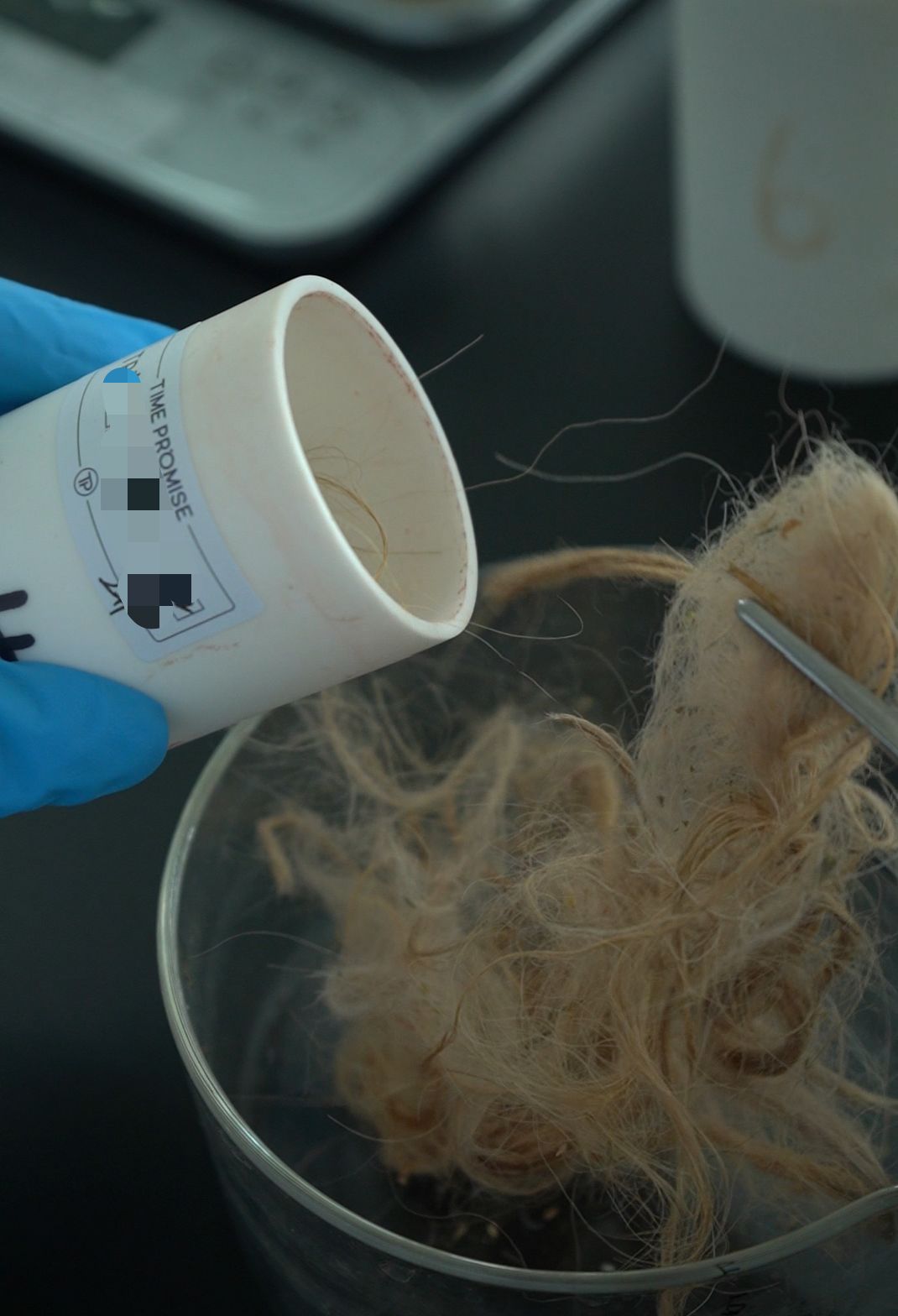 Wool sample transfer between purification stages in laboratory