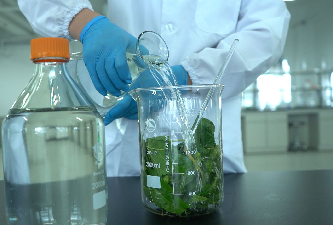 Extraction solution being poured during carbon purification process