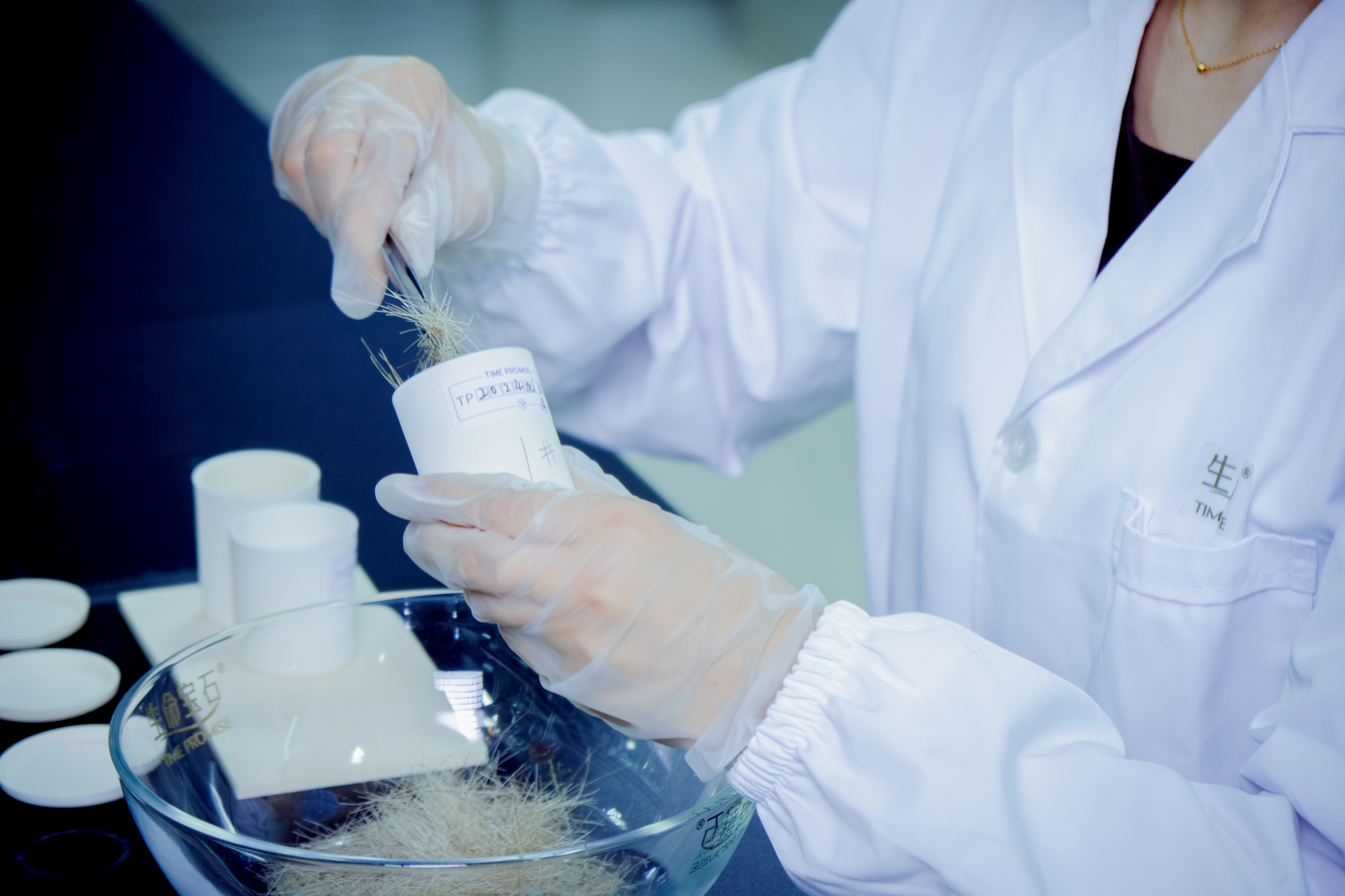 HPHT diamond synthesis laboratory — carbon sample processing