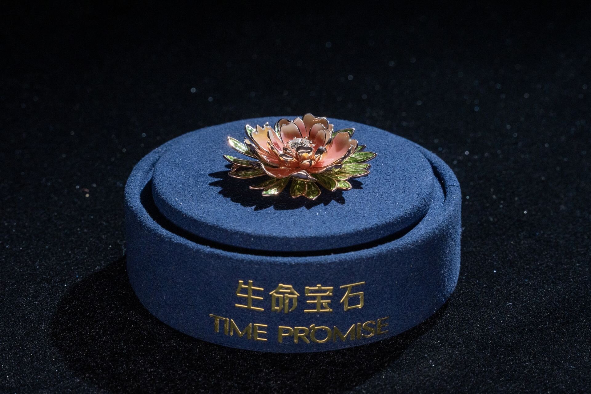 Fresh peony petals collected for carbon extraction — Luoyang double-petaled variety